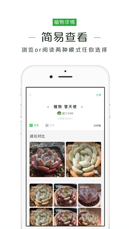 奇妙植物-多肉植物成长记录分享