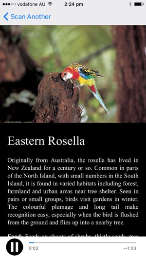 NZ Bird Calls(圖5)-速報App