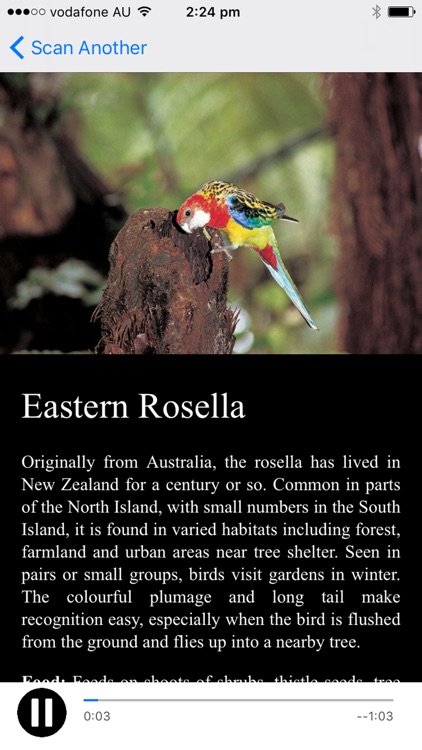 NZ Bird Calls screenshot-4