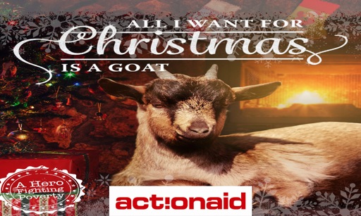 ActionAid Sweden Xmas Goats