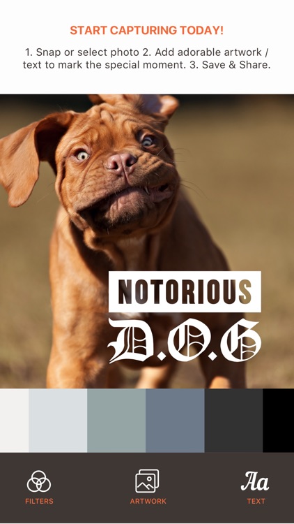 Pet Pics - Pet Photo Editor screenshot-4
