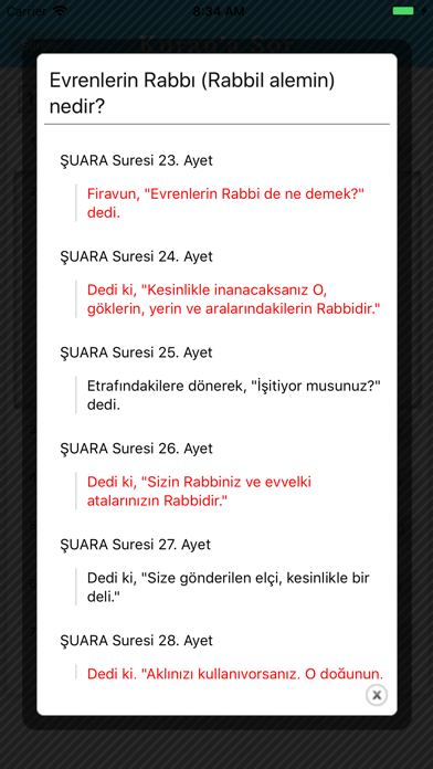 Kuran'a Sor screenshot 3