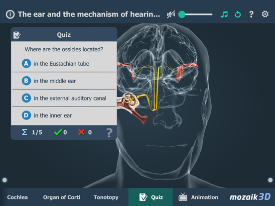 The mechanism of hearing 3D iPad screenshot 5 - Education app