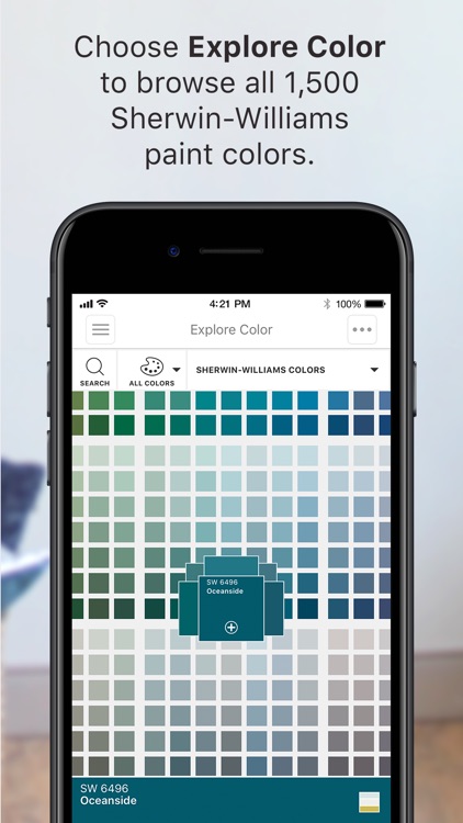 ColorSnap® Visualizer iPhone