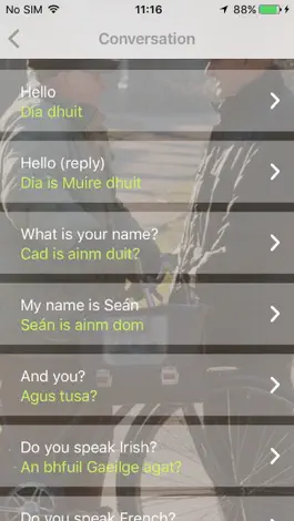 Game screenshot Focal Me - Irish (Gaelic) hack