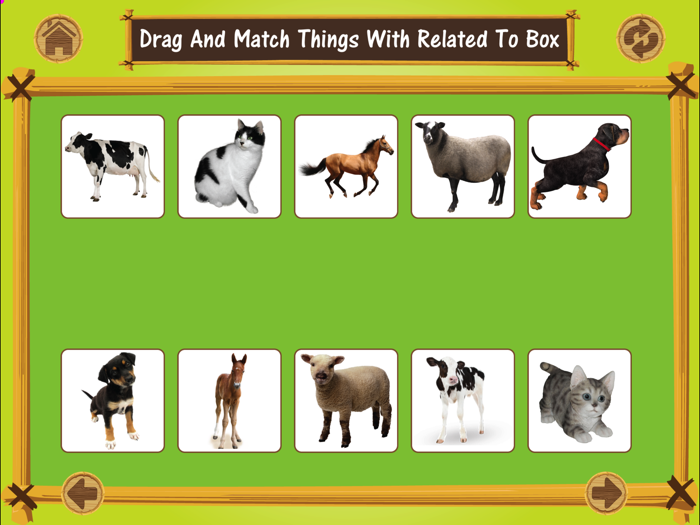 Pair Making Matching Puzzle