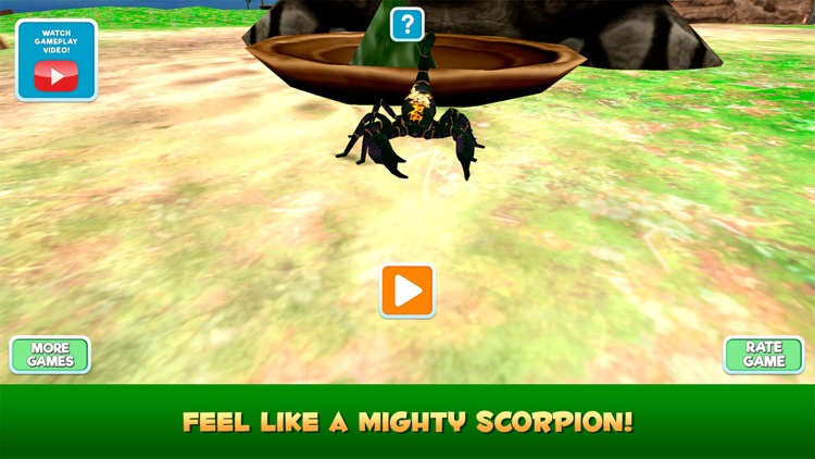 Wild Life of Poisonous Scorpion