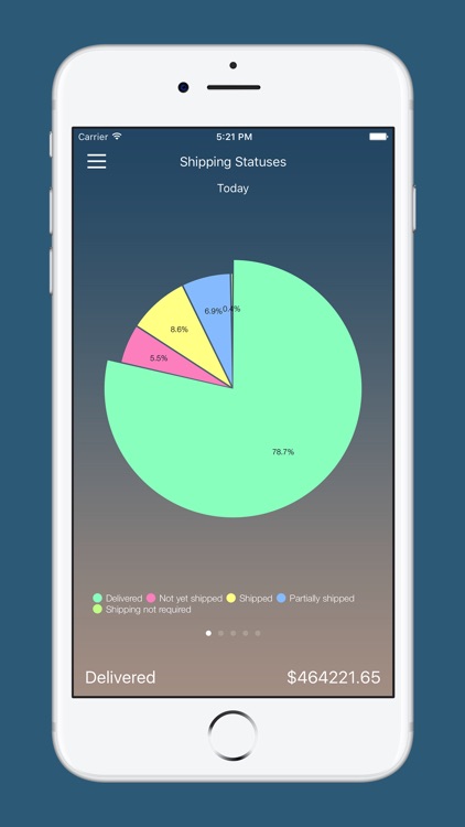 nopReports screenshot-4