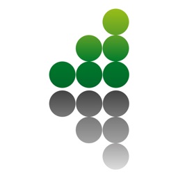 Taylor Phelan Accountants