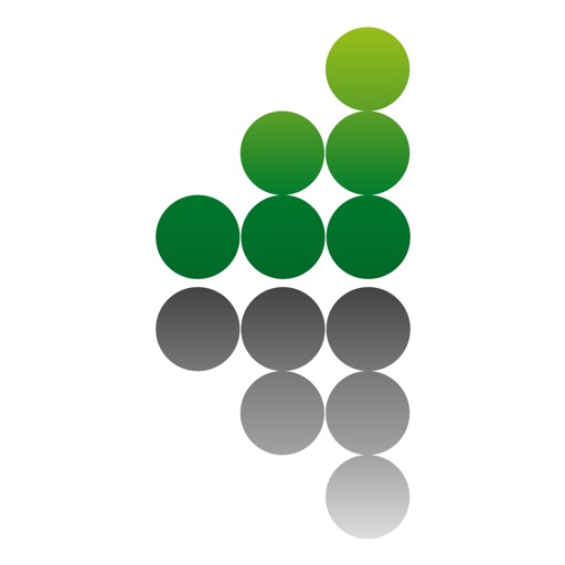 Taylor Phelan Accountants