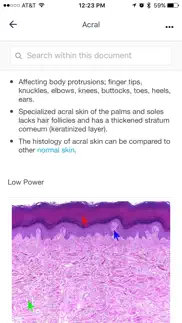 derm glossary problems & solutions and troubleshooting guide - 1