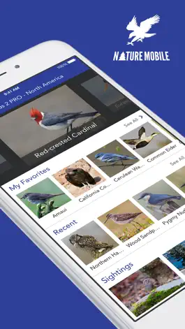 Game screenshot iKnow Birds PRO - USA mod apk