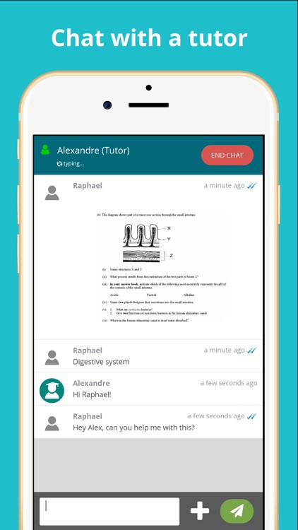 TutorMundi screenshot-3