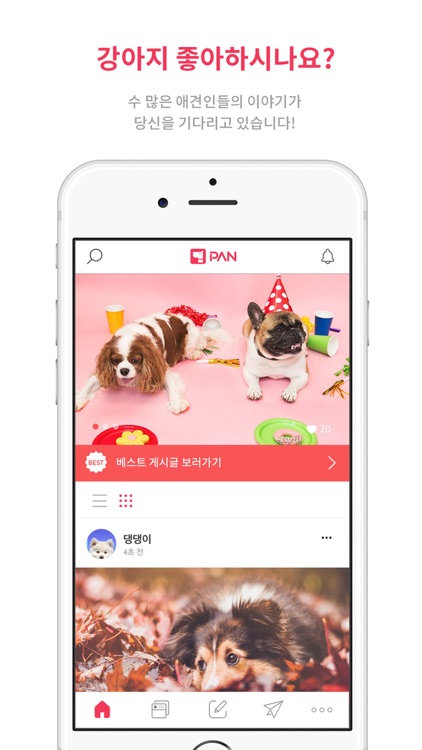 반려견 판 - 강아지 SNS