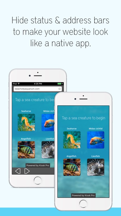Kiosk Pro Lite
