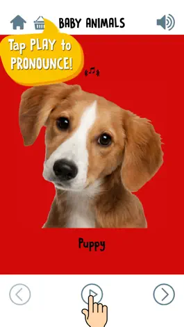 Game screenshot First Words for Baby: Animals - Premium apk