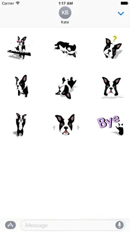 Game screenshot Boston Terrier Dog BostonMoji apk
