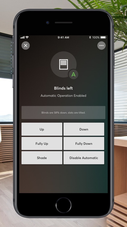 Loxone Smart Home screenshot-3