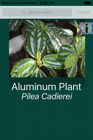House Plant Dictionary - náhled