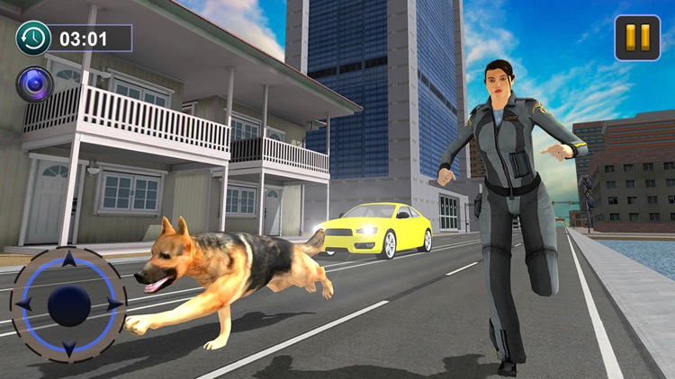 Dog Race & Stunts Wash Thru