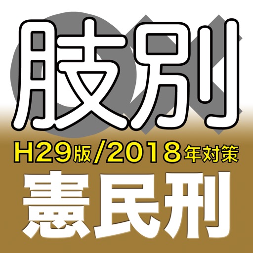 辰已の肢別本 H29版(2018年対策) 憲民刑