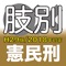 辰已の肢別本 H29版(2018年対策) 憲民刑