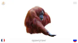 Game screenshot Ребенок Учиться - Французский hack