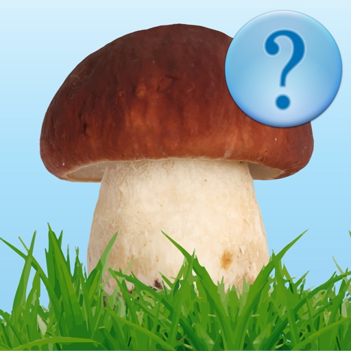 Guess Mushroom Icon