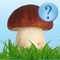 Guess Mushroom