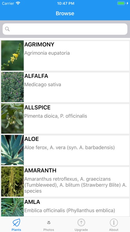 iPlant with Brigitte Mars