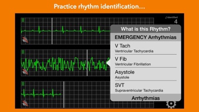 Screenshot #2 pour arrhythmia