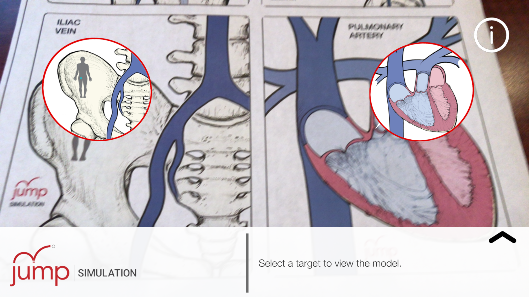 AR Anatomy by Jump Simulation screenshot 3