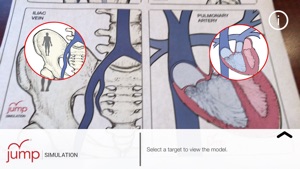 AR Anatomy by Jump Simulation screenshot #3 for iPhone