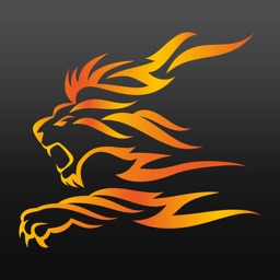 TG Eltville Handball