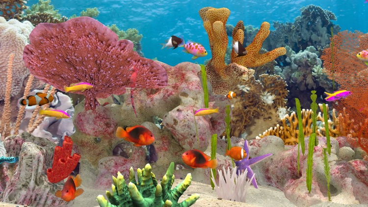 Fish Farm 3 - Aquarium screenshot-0