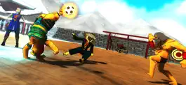 Game screenshot Soccer Paradox 2019 apk