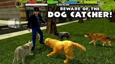 Stray Dog Simulator Screenshot