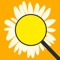 Daiscover is an app that can quickly identify flowers