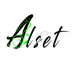 Alset Executive