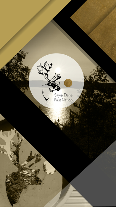 Screenshot #1 pour Saysi Dene Dictionary