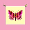 Butterfly Stickers: A Beauty Of Nature