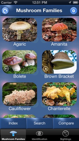 Mushroom Id Guide - UKのおすすめ画像1