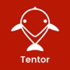 Tentor