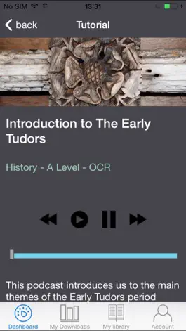 Game screenshot AudioPi apk