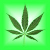 Drug Addiction: Alcoholics & Narcotics Companion - iPadアプリ