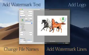 watermark copyright pro iphone images 1