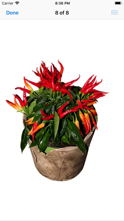 Hot Pepper Stickers screenshot-5