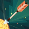 Arrow Hit ! icon