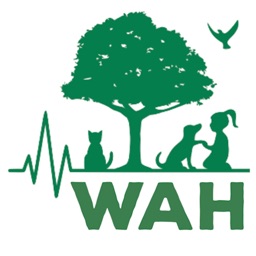 Westside Animal Hospital