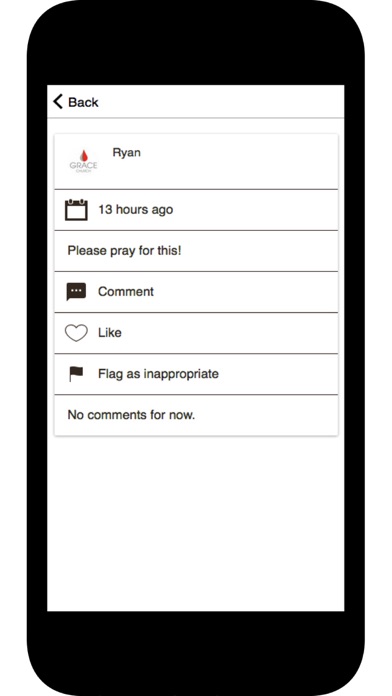 Grace Church. screenshot 3